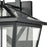 Atlas Lighting Main Street 23''H 4Lt Outdoor Sconce, Black/Clear