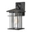 Atlas Lighting Oak Park 14'' High 1Lt Outdoor Sconce, Black/Clear