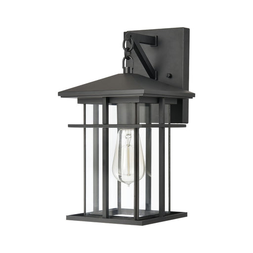 Atlas Lighting Oak Park 14'' High 1Lt Outdoor Sconce, Black/Clear