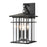 Atlas Lighting Oak Park 17'' High 3Lt Outdoor Sconce, Black/Clear - OL11191-BK