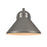 Atlas Lighting Thane 10'' High 1Lt Outdoor Sconce, Hematite/Bronze