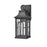 Atlas Lighting Triumph 14.5'' High 1Lt Outdoor Sconce, Black/Clear