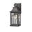 Atlas Lighting Triumph 14.5'' High 1Lt Outdoor Sconce, Black/Clear