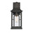 Atlas Lighting Triumph 17.75'' High 1Lt Outdoor Sconce, Black/Clear