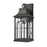 Atlas Lighting Triumph 17.75'' High 1Lt Outdoor Sconce, Black/Clear