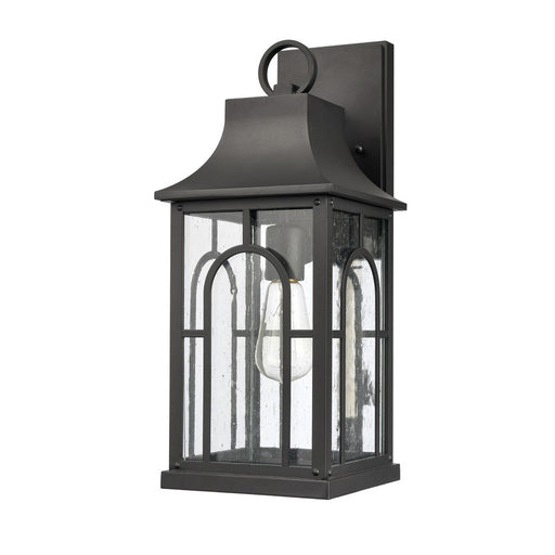 Atlas Lighting Triumph 17.75'' High 1Lt Outdoor Sconce, Black/Clear