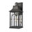 Atlas Lighting Triumph 17.75'' High 1Lt Outdoor Sconce, Black/Clear