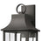 Atlas Lighting Triumph 21'' High 2Lt Outdoor Sconce, Black/Clear