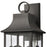 Atlas Lighting Triumph 23'' High 3Lt Outdoor Sconce, Black/Clear