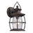 Atlas Lighting Village Lantern 13''H 1Lt Outdoor Sconce, Charcoal