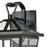 Atlas Lighting Main Street 16''H 3Lt Outdoor Sconce, Black/Clear