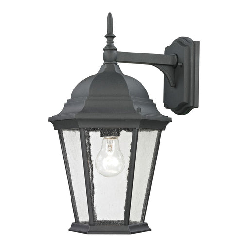 Atlas Lighting Temple Hill 18''H 1Lt Outdoor Sconce, Black/Clear
