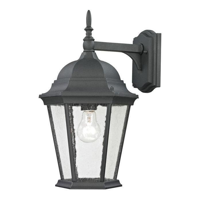 Atlas Lighting Temple Hill 18''H 1Lt Outdoor Sconce, Black/Clear