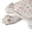 Atlas Lighting Aly Turtle, Whitewash