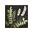 Atlas Lighting Botanical Study II Framed Wall Art, Green