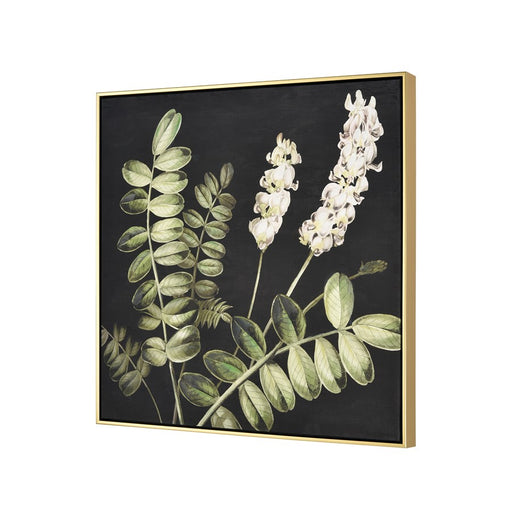 Atlas Lighting Botanical Study II Framed Wall Art, Green
