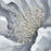 Atlas Lighting Bowie Bloom I Framed Wall Art, Gray