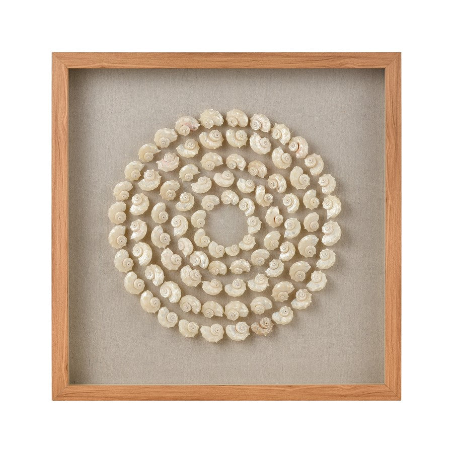 Atlas Lighting Concentric Shell Dimensional Wall Art, Natural - WA11038-01