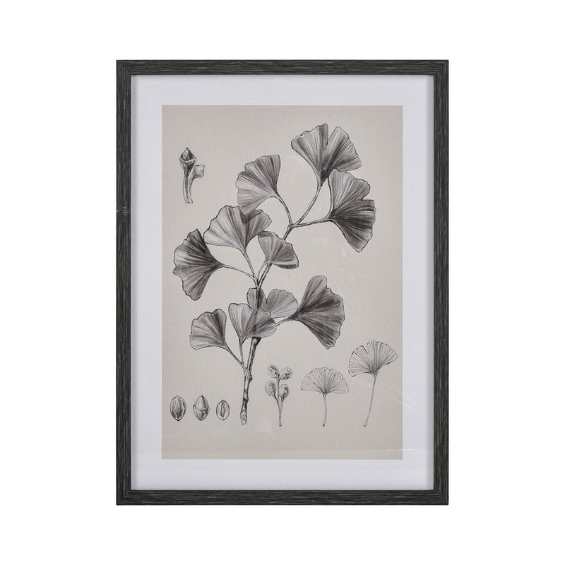 Atlas Lighting Foliage II 18x24in Framed Wall Art | Ivory Fabric on Black Wood Frame | Living Room & Bedroom Decor | Model WA11051-02