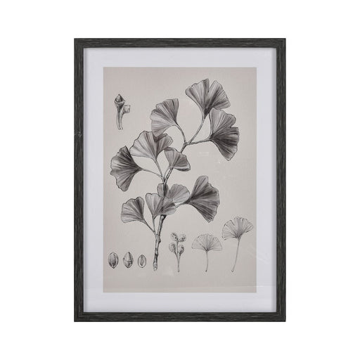 Atlas Lighting Foliage II Framed Wall Art, Ivory