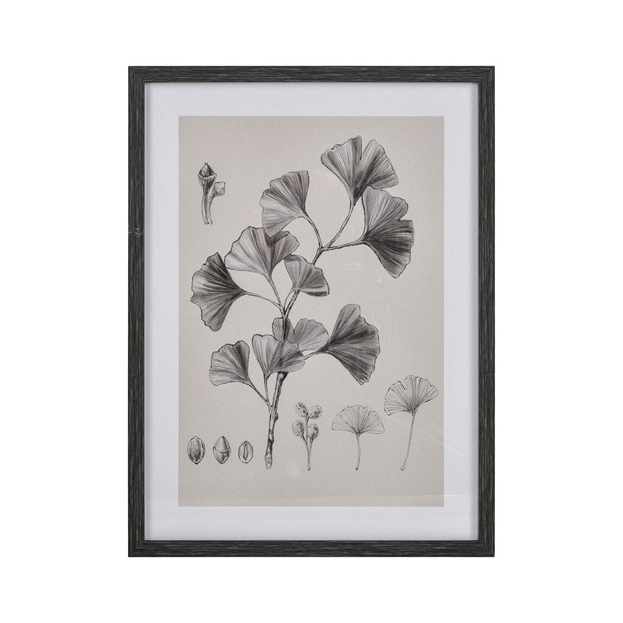 Atlas Lighting Foliage II Framed Wall Art, Ivory
