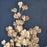 Atlas Lighting Leaf Shadow II Framed Wall Art, Gold