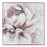 Atlas Lighting Petal Study Framed Wall Art, Blush