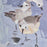 Atlas Lighting Seagull Abstract Framed Wall Art, Blue