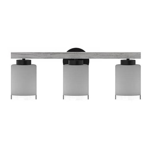 Atlas Lighting Briggs 24'' Wide 3Lt Vanity Light, Black/White