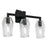 Atlas Lighting Gaia 19''W 3Lt Vanity Light, Acid Dipped Black/Clear