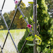 ACHLA Lattice Tunnel Arbor | Graphite Powdercoated Wrought Iron | Garden Entrance & Rose Walk Archway | 33 x 64 x 106 in | Model ARB-32G
