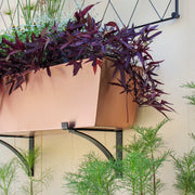 ACHLA Rookwood Brackets, Pair | Craftsman Wrought Iron Black Powdercoat | Shelf & Flower Box Support | 12.5 x 1.25 x 11 in | Model B-15