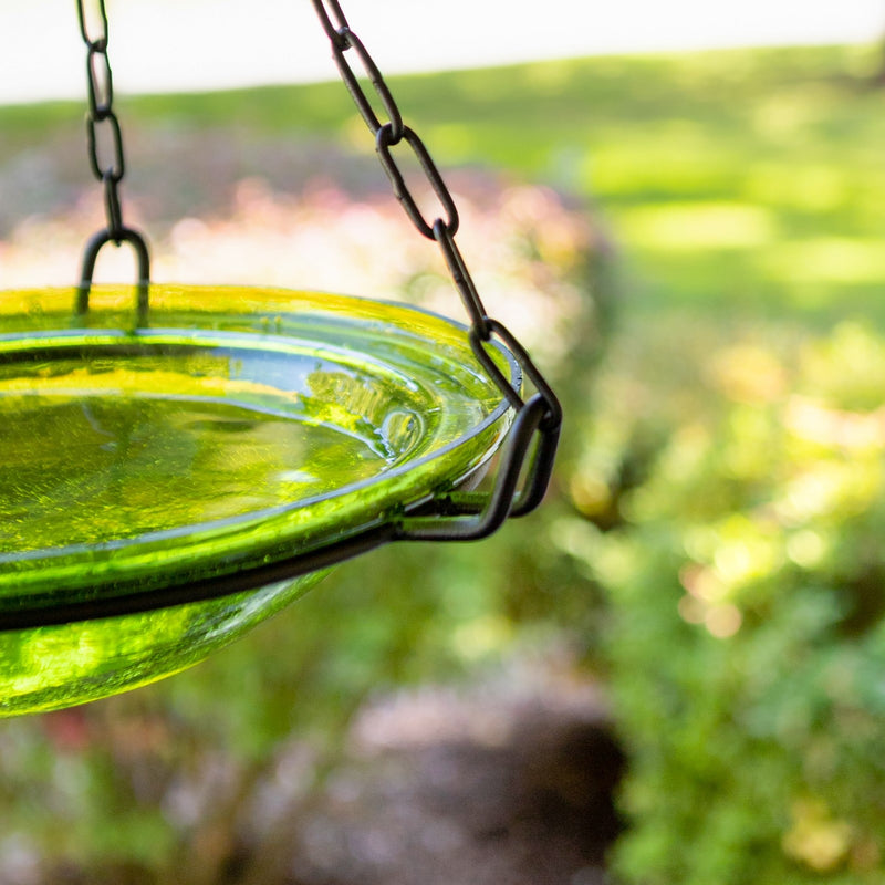 ACHLA Fern Green Hanging Birdbath | Crackled Glass Bowl with Black Wrought Iron Chain | Garden & Patio Bird Bath | Model BBH-02FG