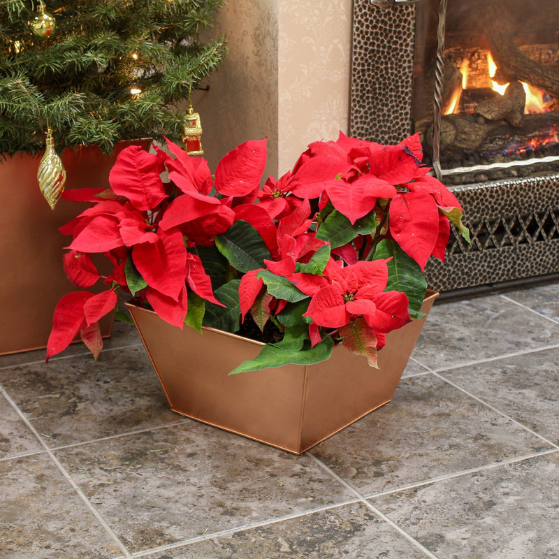 ACHLA Small Copper Flower Box Planter | Galvanized Steel with Copper Plated Finish | Indoor & Outdoor Tabletop or Stand | 12 x 12 x 6 in | Model C-11C