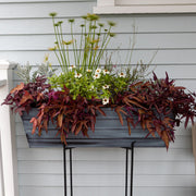 ACHLA Galvanized Steel Flower Box Planter Large | Classic Window Box Style in Nantucket Blue | Porch, Balcony & Garden Container | Model C-21NB