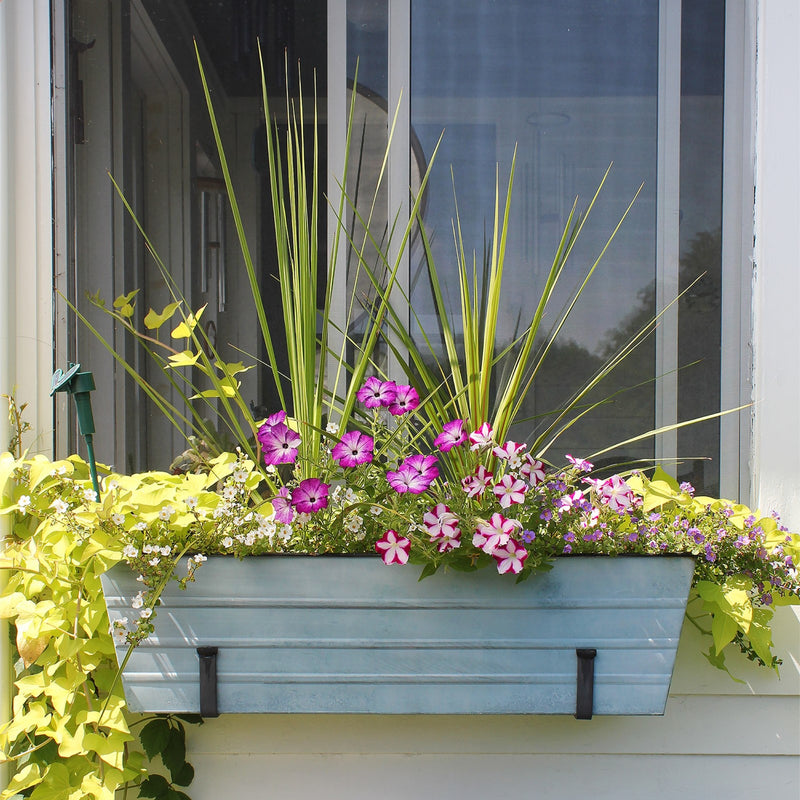 ACHLA Large Flower Box with Wall Brackets | Nantucket Blue Galvanized Steel and Black Wrought Iron | Front Porch & Balcony Container | Model C-21NB-WM