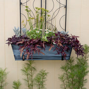 ACHLA Large Flower Box with Wall Brackets | Nantucket Blue Galvanized Steel and Black Wrought Iron | Front Porch & Balcony Container | Model C-21NB-WM