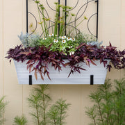 ACHLA Large Flower Box with Wall Brackets | Cape Cod White Galvanized Steel and Black Wrought Iron | Front Porch & Balcony Planter | Model C-21W-WM