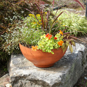 ACHLA Solaria Small Bowl Planter 16in | Burnt Sienna Galvanized Steel and Black Wrought Iron | Indoor & Outdoor Cactus & Succulent | Model C-60BS