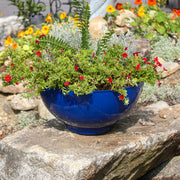 ACHLA Solaria Small Bowl Planter | French Blue Galvanized Steel | Indoor & Outdoor Cachepot for Succulents & Fairy Gardens | Model C-60FB