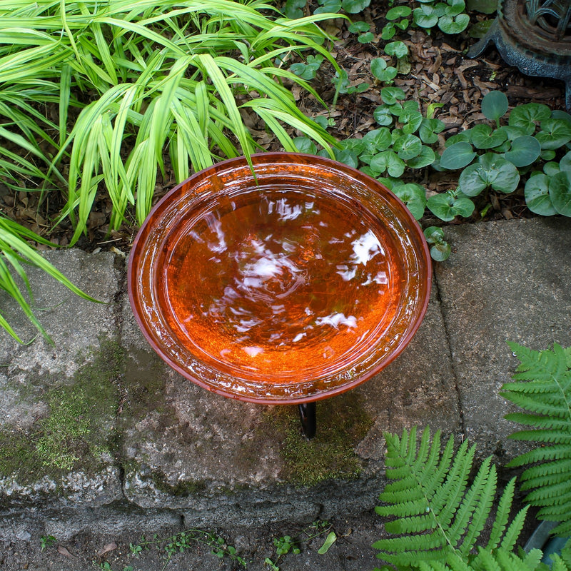ACHLA 12in Crackle Glass Birdbath with Stand | Mandarin Orange Glass and Black Wrought Iron | Garden & Patio Decor | 12 x 12 x 7 in | Model CGB-06M-S1