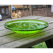 ACHLA 14in Fern Green Crackle Glass Decorative Bowl | Handcrafted Art Glass | Patio & Garden Accent | 14 x 14 x 2.5 in | Model CGB-14FG