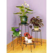 ACHLA Argyle Plant Stand I 8in | Wrought Iron Graphite Powder Coat | Indoor & Outdoor Plant Display | 15 x 15 x 9 in | Model FB-30