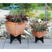 ACHLA Zaha II Plant Stand | Black Powdercoat Wrought Iron | Indoor & Outdoor Container Garden | 11 x 11 x 10 in | Model FB-55
