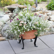 ACHLA Denise Plant Stand | Black Powdercoat Wrought Iron | Indoor & Outdoor Patio, Living Room & Sunroom | 16 x 16 x 9 in | Model FB-59