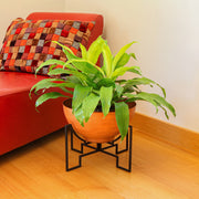 ACHLA Jane I Planter with Bowl | Black Wrought Iron Stand and Burnt Sienna Steel Bowl | Patio & Sunroom Container Garden | Model FBC-52-60BS