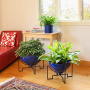 ACHLA Jane I Planter | French Blue Wrought Iron and Galvanized Steel | Succulent & Cactus Garden, Patio & Sunroom | Model FBC-52-60FB