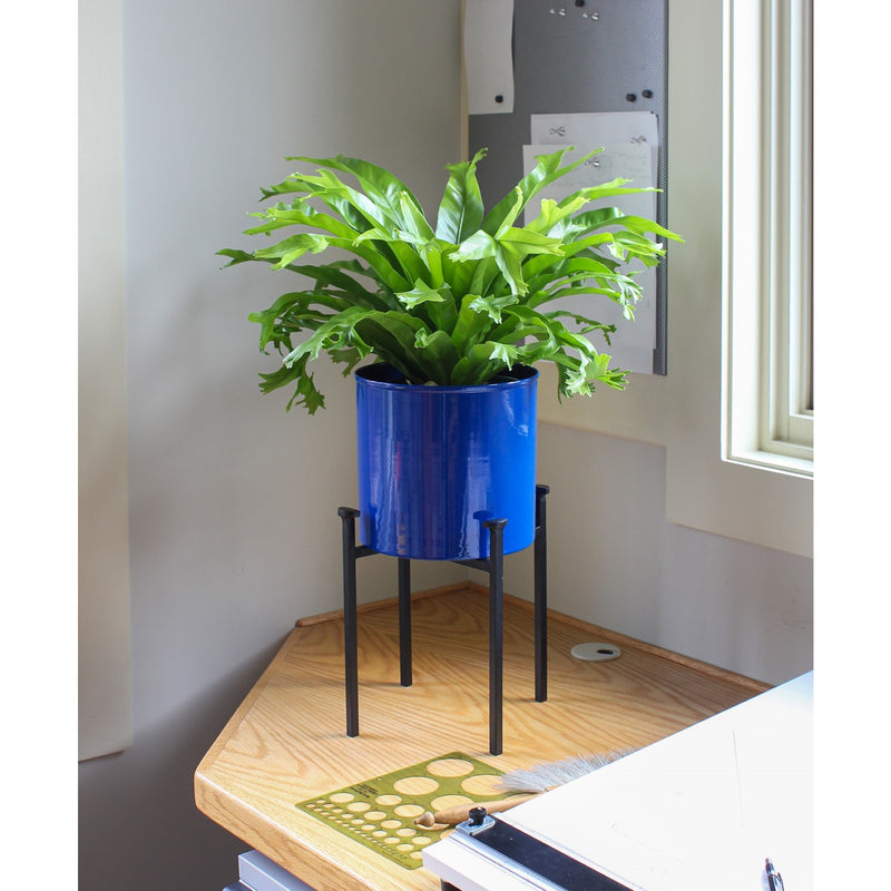ACHLA Eileen 8in Planter with Bowl | French Blue Wrought Iron and Steel | Indoor & Outdoor Floor Planter | 8 x 8 x 15 in | Model FBC-64-62FB