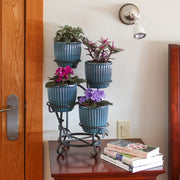 ACHLA Cascading Plant Stand 15in | Wrought Iron Graphite Powder Coat | Indoor & Outdoor Multi-Tier Display | 15 x 15 x 18 in | Model FC-05