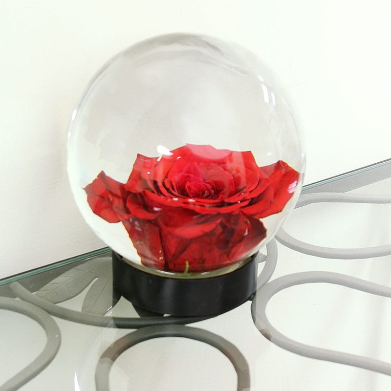 ACHLA Flower Aquarium 8in Glass Plant Stand | Clear Glass Vase with Snap Seal | Wedding Centerpiece & Tabletop Decor | 8 x 8 x 8 in | Model FLAQ-01